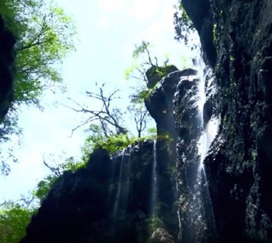 青山綠水，白龍江畔江畔息白鷺，兩岸綠橄欖入眼的都是純樸自然枝上花開(kāi)，春來(lái)水暖魚(yú)蝦戲水，鳥(niǎo)語(yǔ)花香心中充滿(mǎn)著舒暢之感祥宇生態(tài)產(chǎn)業(yè)園，位于隴南市武..